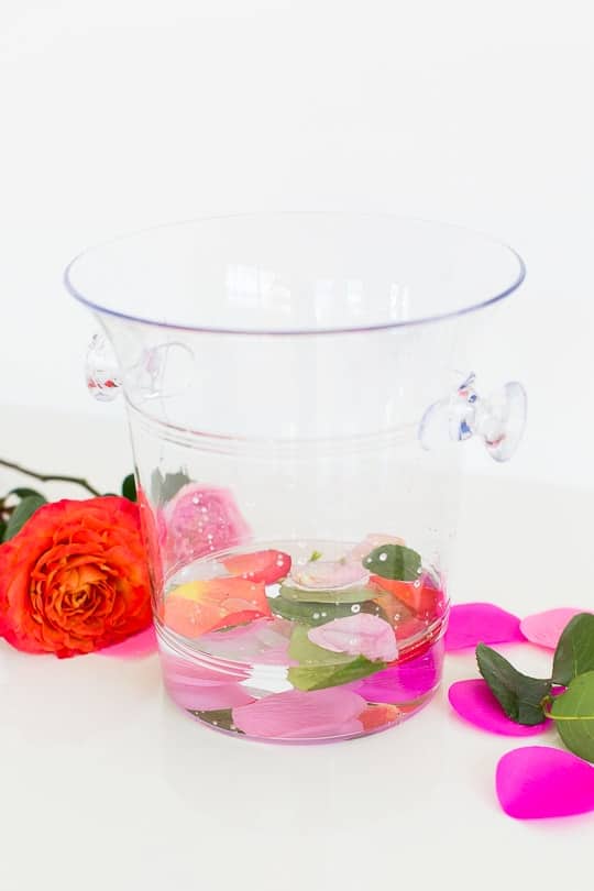 DIY frozen wine bucket - sugar & cloth 