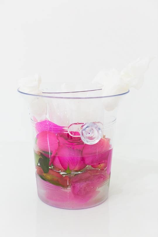 DIY frozen wine bucket - sugar & cloth 