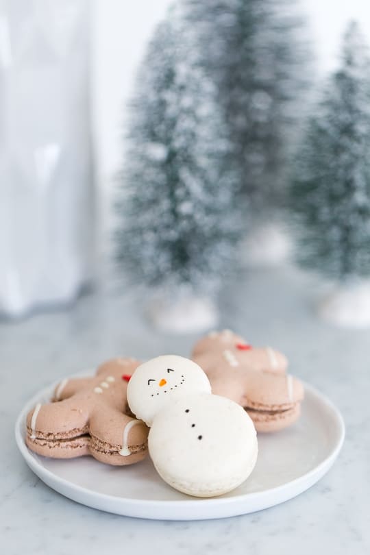 A holiday s'mores party! - Sugar & Cloth - 