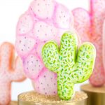 Potted Pink Cactus Macarons