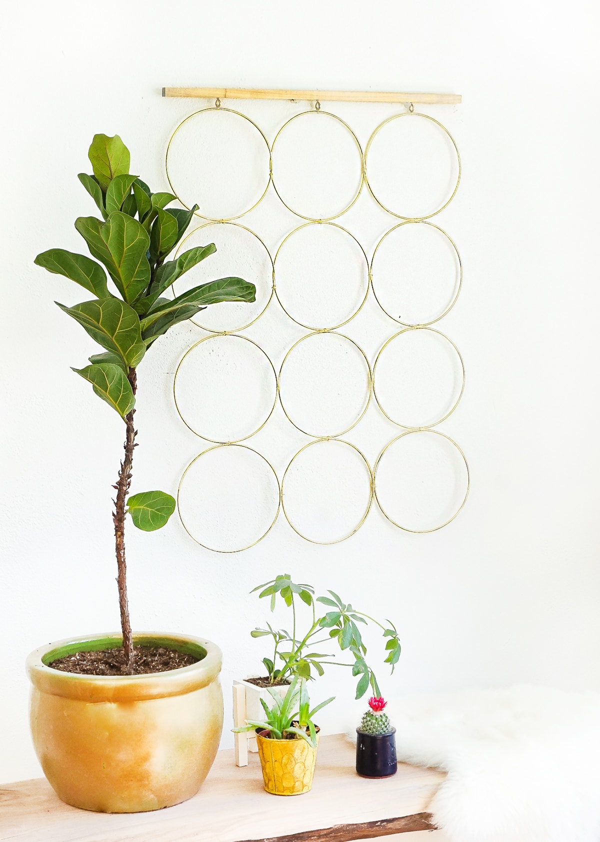 A simple and sophisticated DIY brass ring wall decor to hang at home! - sugar and cloth