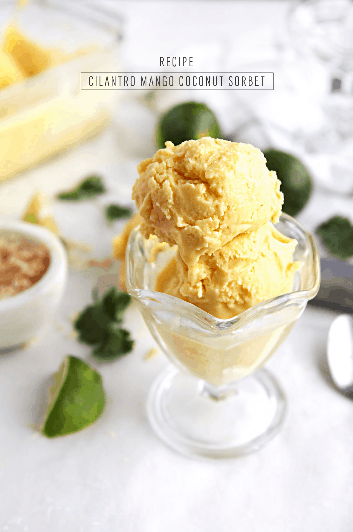 A simple cilantro mango coconut sorbet for your Summer entertaining! - sugar and cloth - ice cream - houston blogger - sugar and cloth