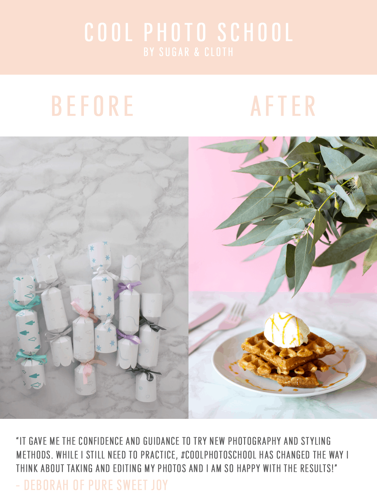 A daily dose of photography inspiration with these Before & After from our Cool Photo School testimonials! - sugar and cloth - blogger tips - blog photography - business tips