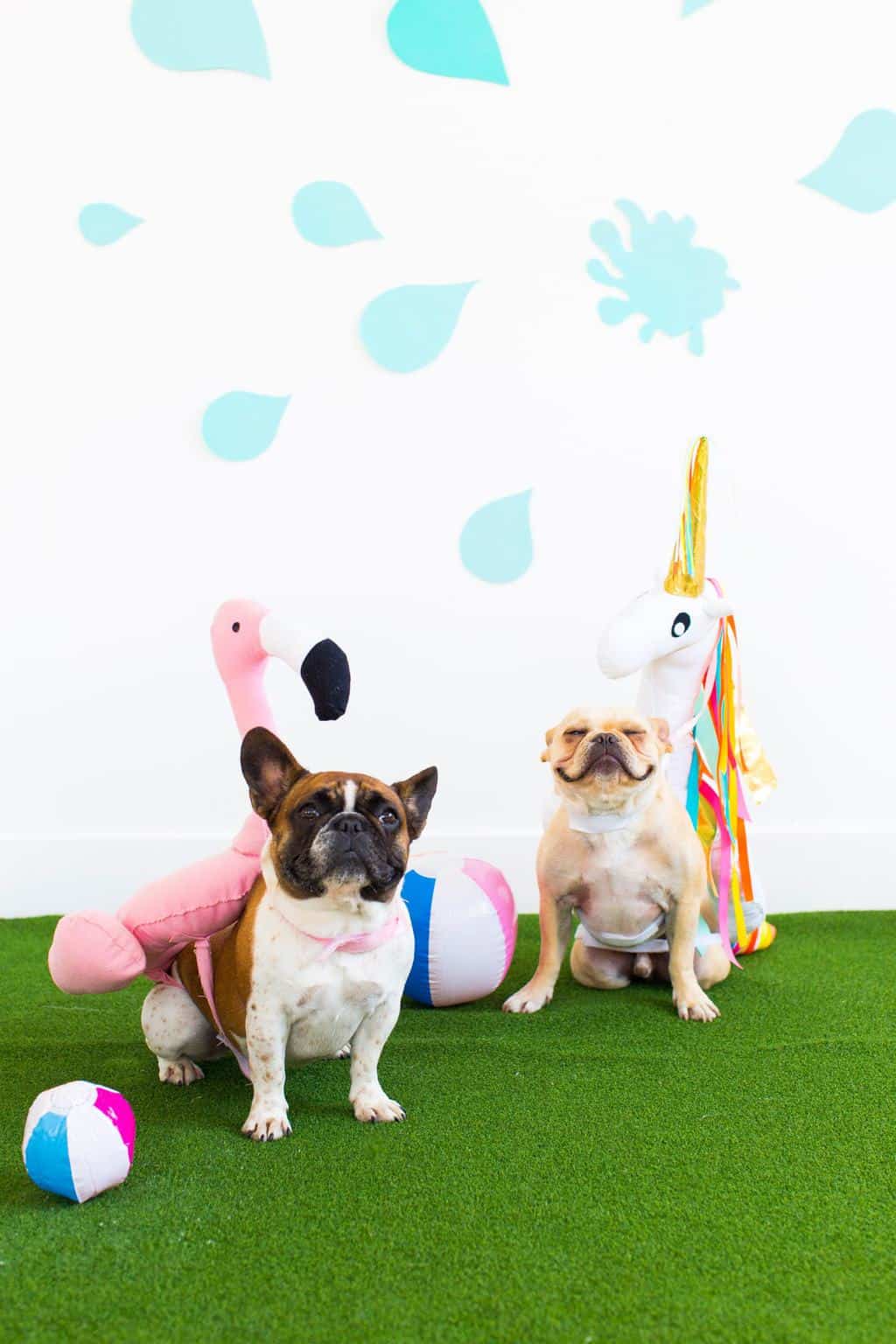 Summer never ends when you have DIY pool float dog costumes, am I right?! - sugar and cloth - halloween ideas - unicorn pool float - flamingo pool float