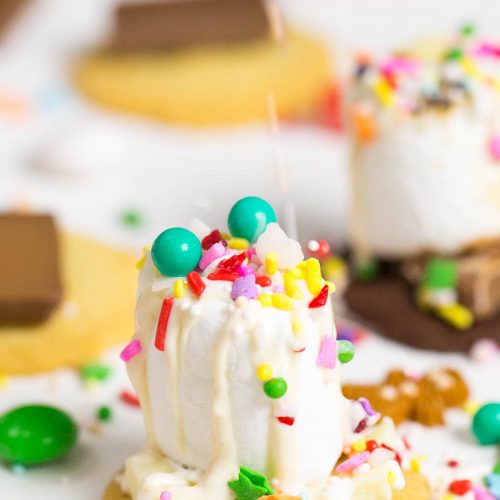 Holiday Cookie and Sprinkle S'mores recipe by Ashley Rose of Sugar and Cloth, and award winning DIY blog.