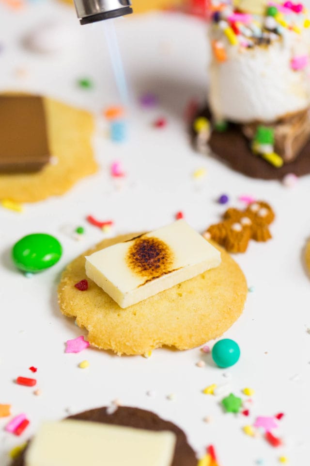 Holiday Cookie and Sprinkle S'mores recipe by Ashley Rose of Sugar and Cloth, and award winning DIY blog.