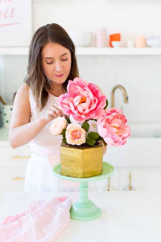 DIY Modern Potted Flower Cake