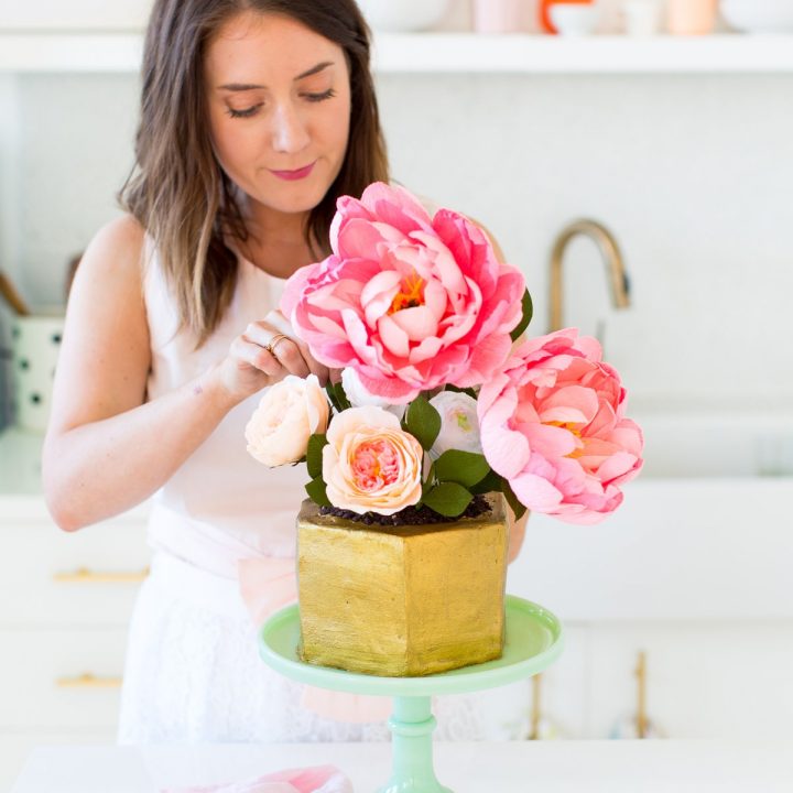 Diy Modern Potted Flower Cake Sugar Cloth