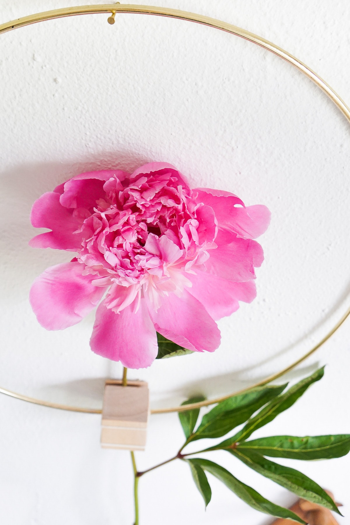 DIY Minimalist Flower Wall Hang (Erin)-13 - Sugar & Cloth