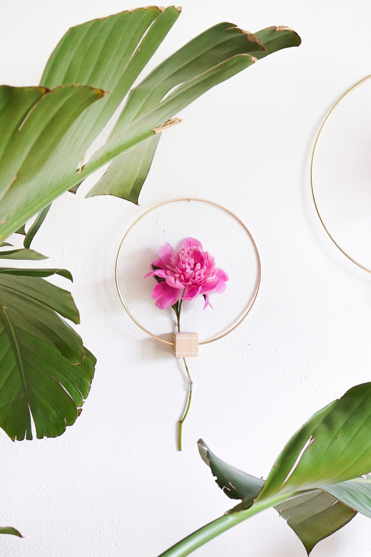 DIY Minimalist Flower Wall Hang by Ashley Rose of Sugar & Cloth, a top lifestyle blog in Houston, Texas