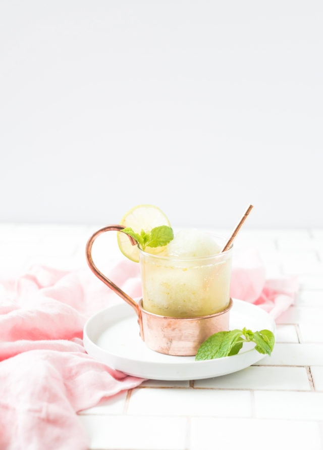 Moscow Mule Float by Ashley Rose of Sugar & Cloth, a top lifestyle blog in Houston, Texas