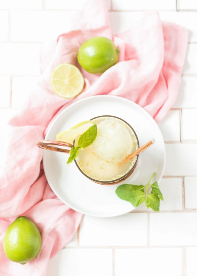 Moscow Mule Float by Ashley Rose of Sugar & Cloth, a top lifestyle blog in Houston, Texas