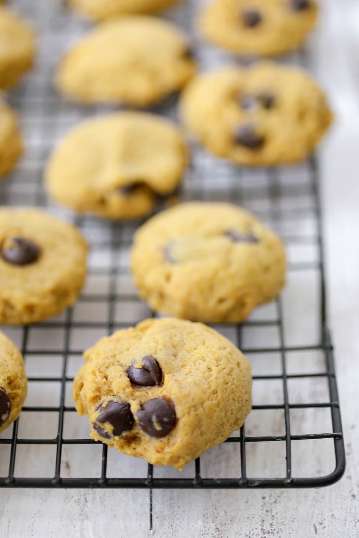 Oh So Chewy Pumpkin Chocolate Chip Cookies by Ashley Rose of Sugar & Cloth, a top lifestyle blog in Houston, Texas