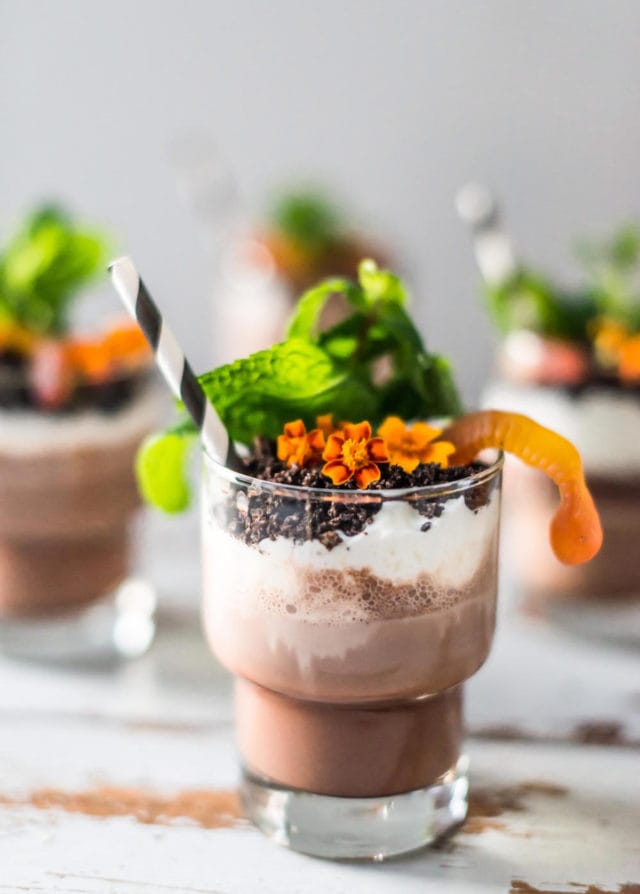 photo of a finished dirt cup dirt dessert recipe