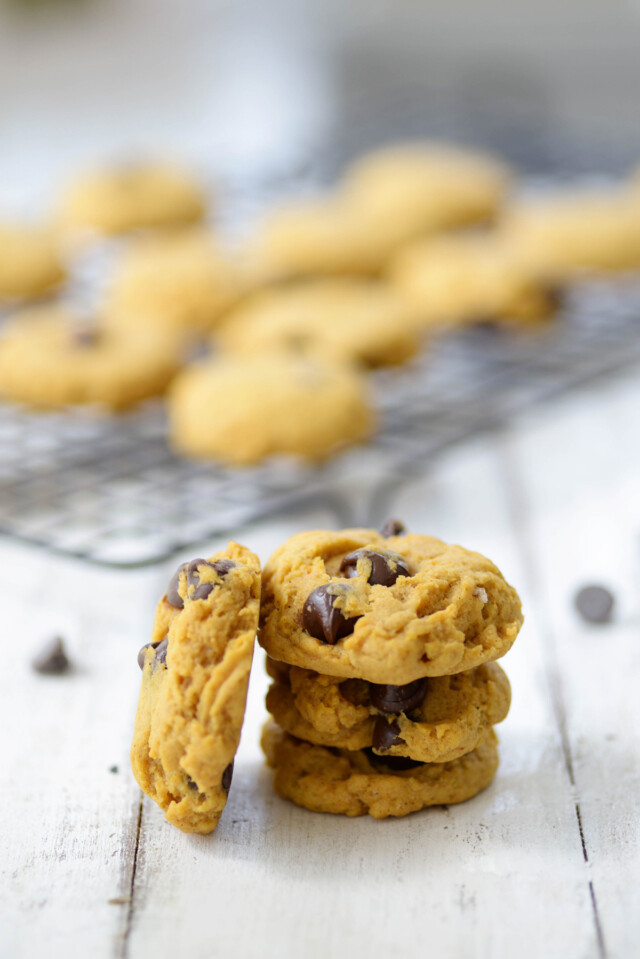 Pumpkin Chocolate Chip Cookies Recipe