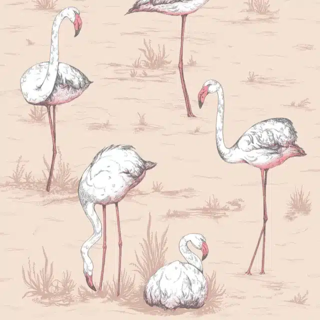 Cole & Son Flamingos Plaster Pink Wallpaper for bold wallpaper ideas