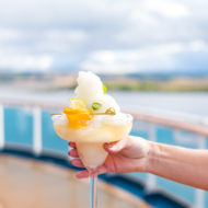 the infamous a yummy Frozen Three Citrus Margarita Recipe with a Kick! by top Houston lifestyle blogger Ashley Rose of Sugar and Cloth #recipe #recipe #margarita #cocktails #cocktailrecipe #citrus #travel