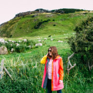 Standing with sheep along the coast in Belfast - Photos of Our British Isles Cruise with Family! | Part 2 # travel #familytravel #cruise #decor #design #britishisles