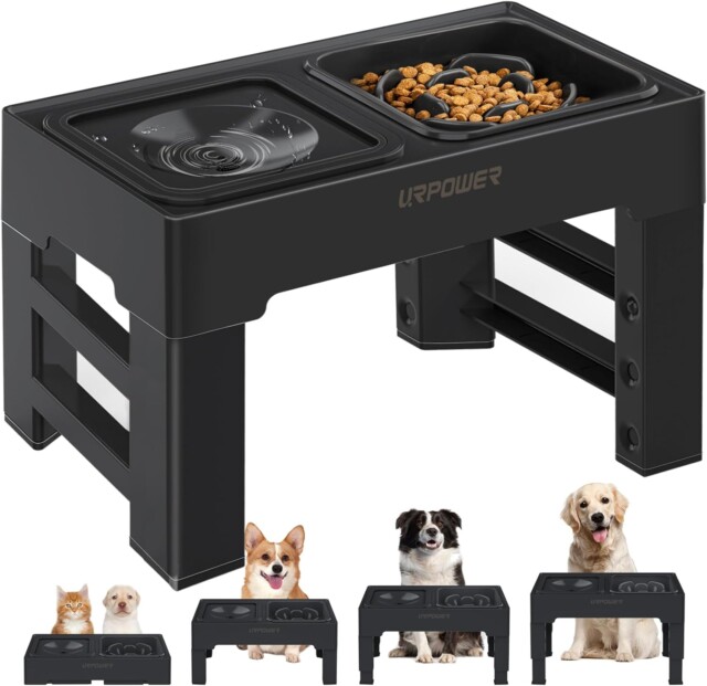 2-in-1 Elevated Slow Feeder Dog Bowls with No Spill Dog Water Bowl for gifts for pets