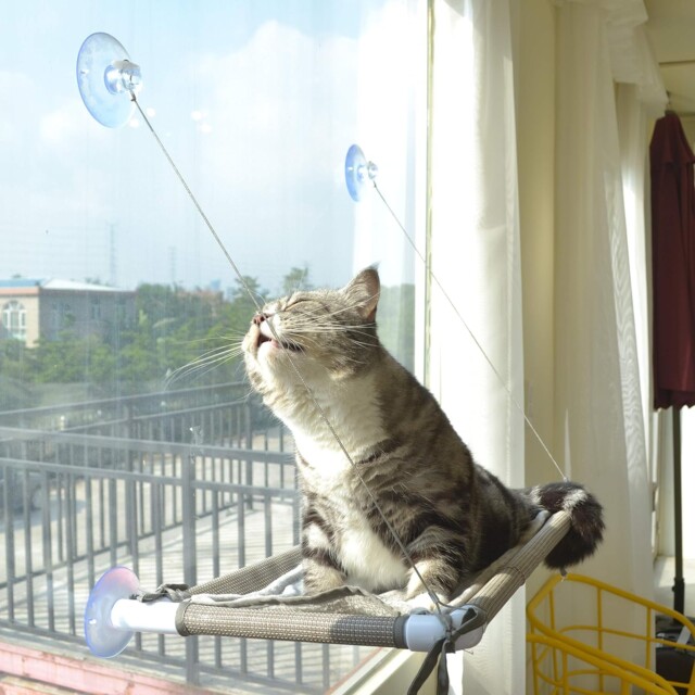 Cat Window Hammock gifts for cats