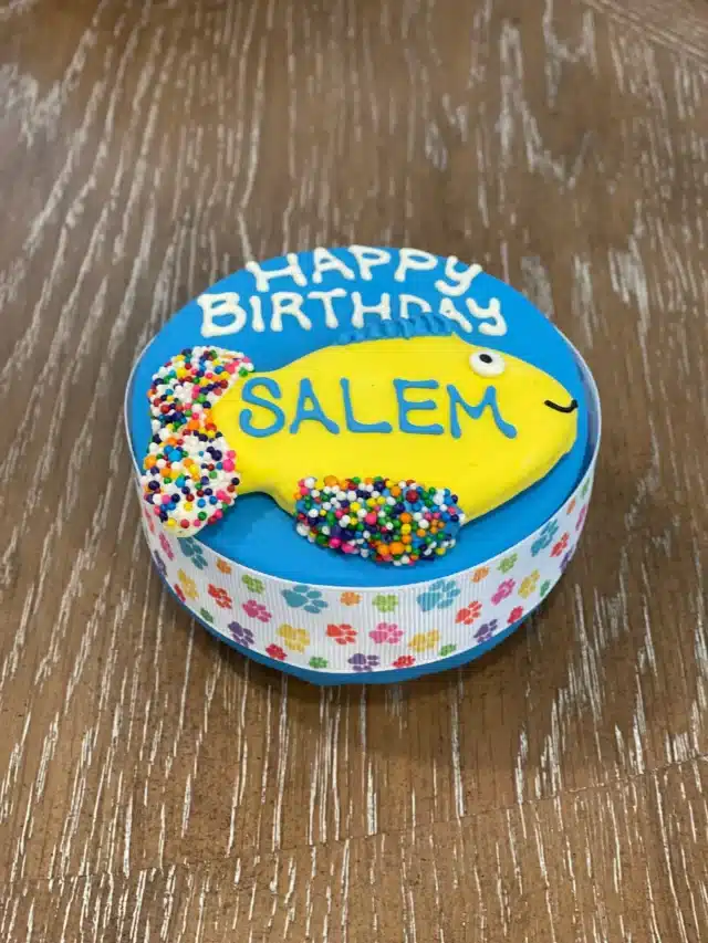 Cat Kitty Cake Happy Birthday for pet gifts