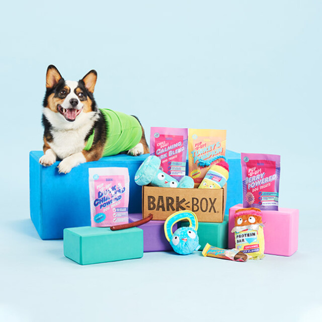 Barkbox Dog Subscription for pet gifts ideas