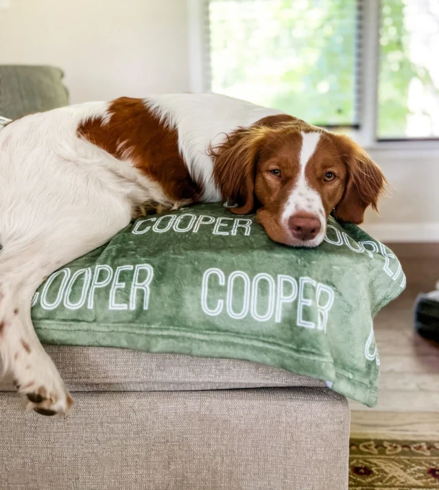 Personalized Blanket for Dog, Dog Blanket, plush dog blanket, dog name blanket, gift for dog lover, puppy name blanket, new puppy gift