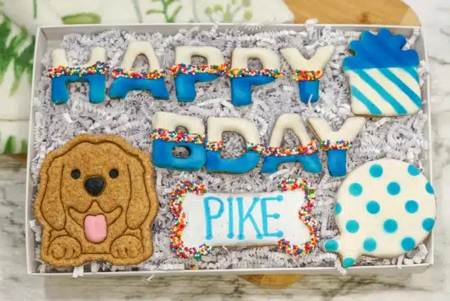Personalized Dog Treat Birthday Box | Happy Barkday Cookie Gift Box | Healthy treats for dogs for pet gifts