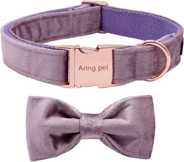 Velvet Dog Collars with Removable Bowtie