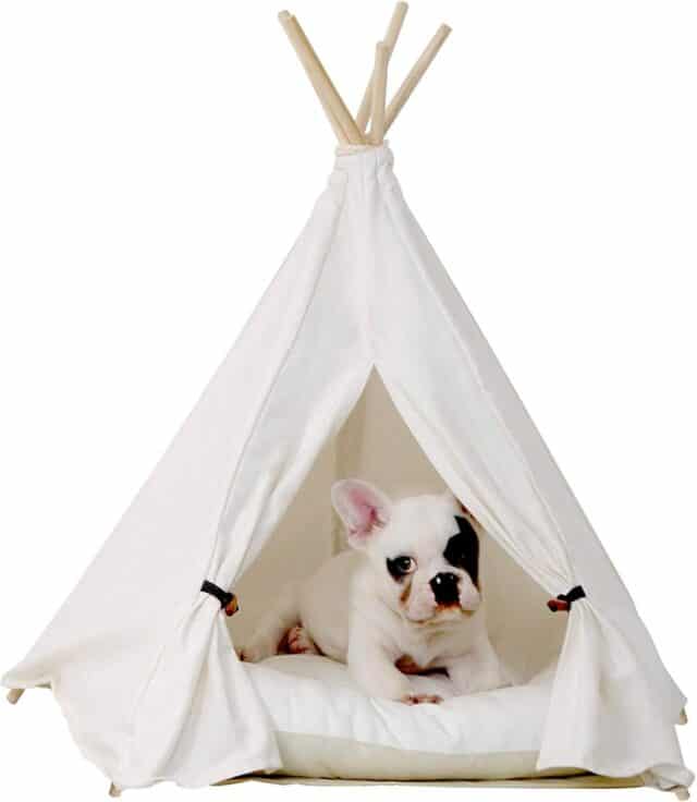 teepee bed - fun gift for fur owner