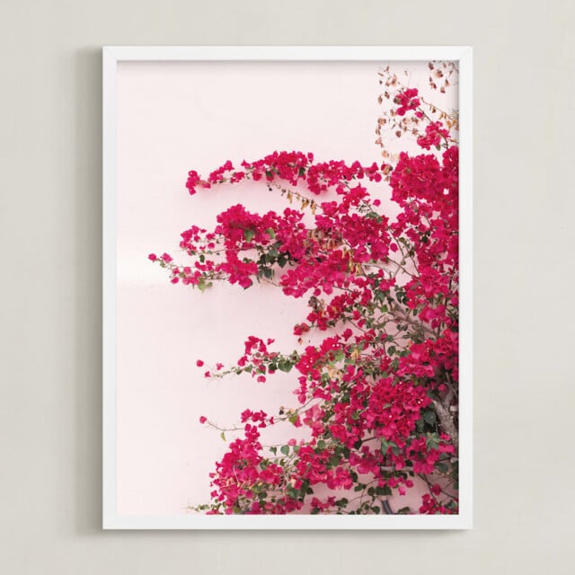 Bright Bougainvillea for affordable wall art