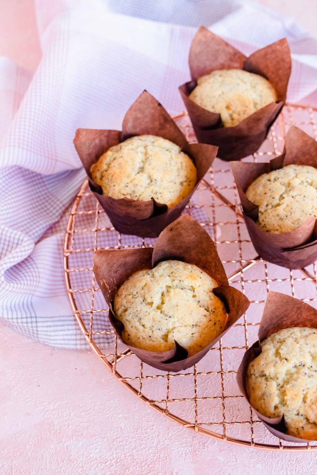 Poppy Seed Muffins Recipe