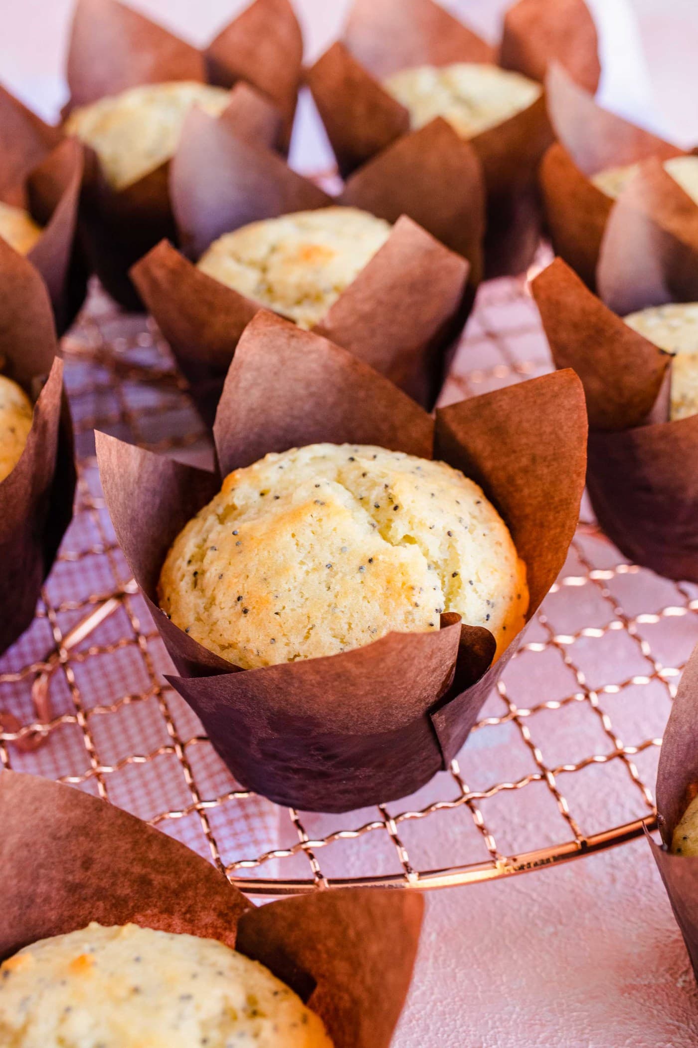 Breakfast Poppyseed Muffins Recipe Details by top Houston lifestyle blogger Ashley Rose of Sugar & Cloth