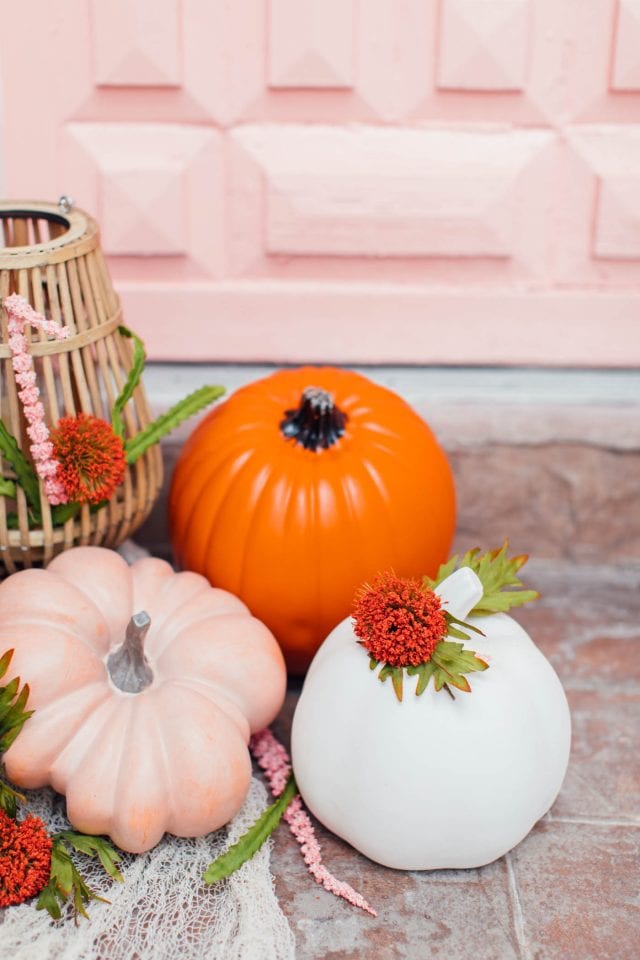 photo of peach orange and blush pink colorful pumpkins