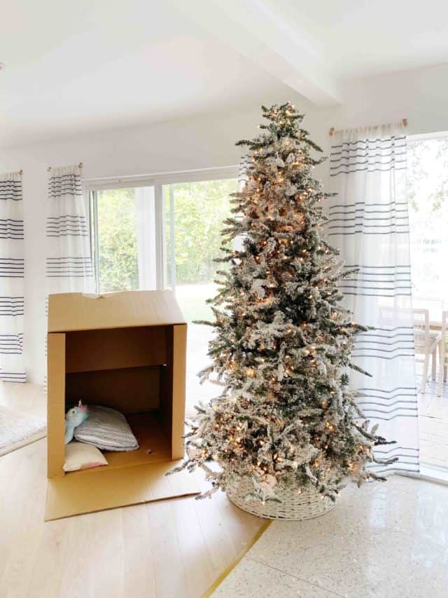 photo of a box and christmas tree