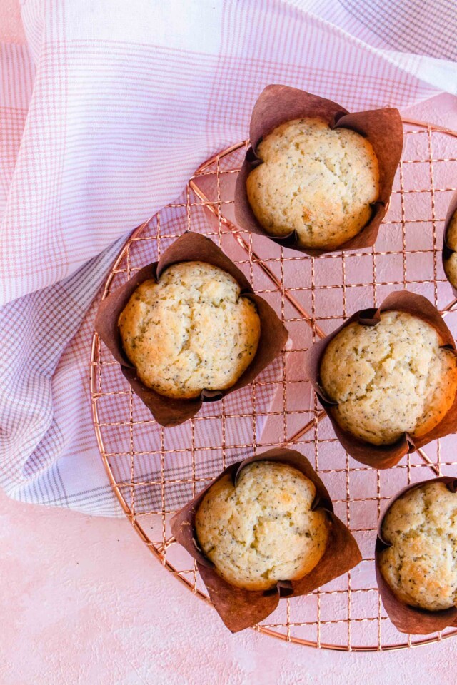 Poppyseed Muffins Recipe