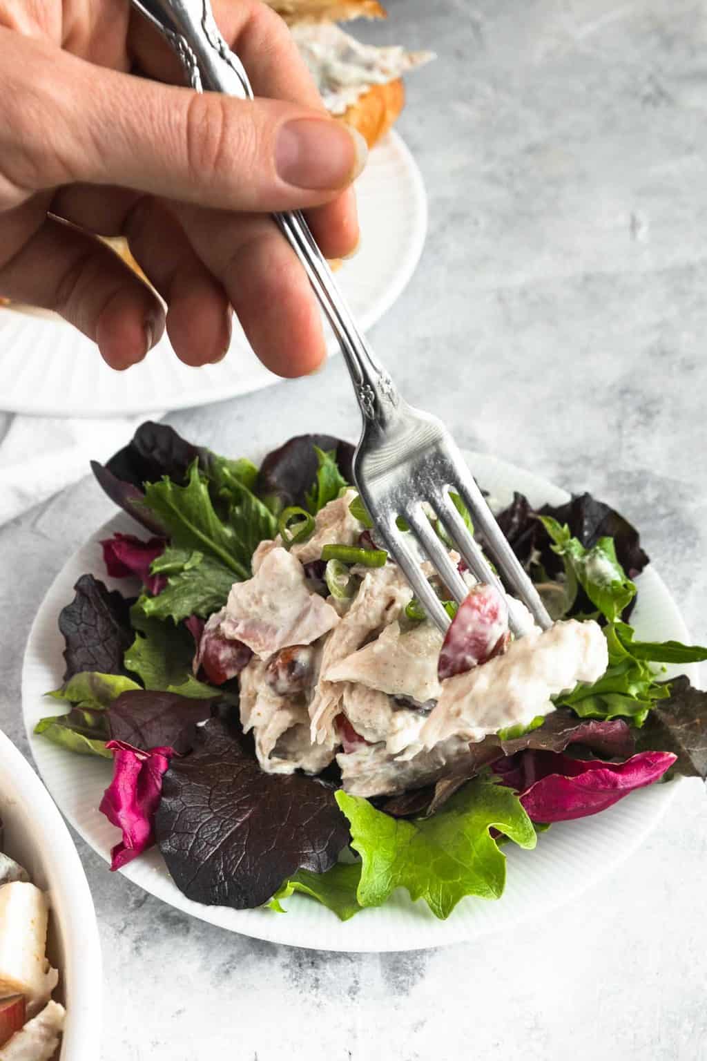 photo of the grape, green onions and almonds mixed with chicken for the best chicken salad recipe by top Houston lifestyle blogger Ashley Rose of Sugar & Cloth