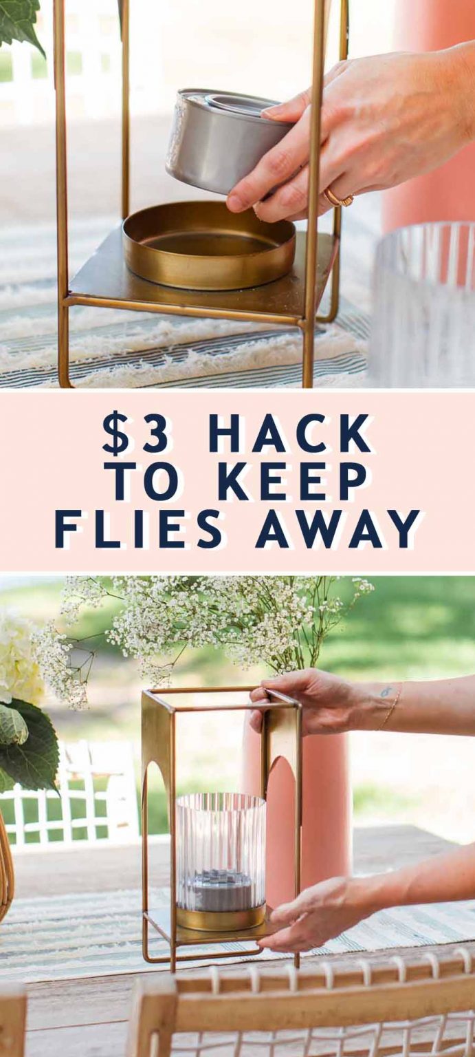 How To Get Rid Of Flies Outside Naturally — Sugar & Cloth