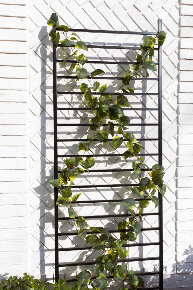a DIY trellis in front of limewash painted white brick wall