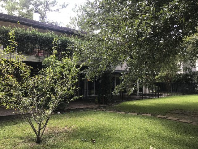 overgrown backyard photo