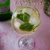 Italian Martini Spritz Cocktail Recipe
