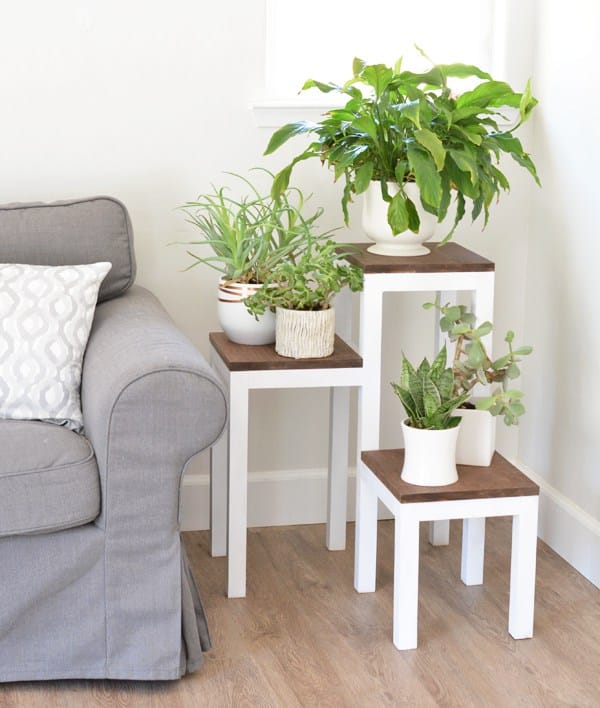 Tiered Plant Stand by Arrow