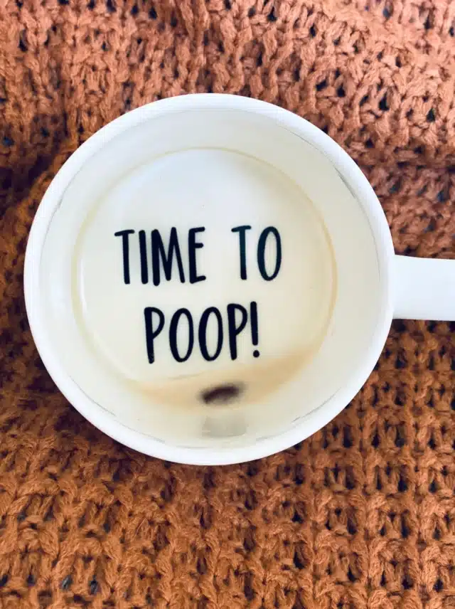 Time to Poop Mug: Funny Hidden Message Coffee Mug for funny gag gifts