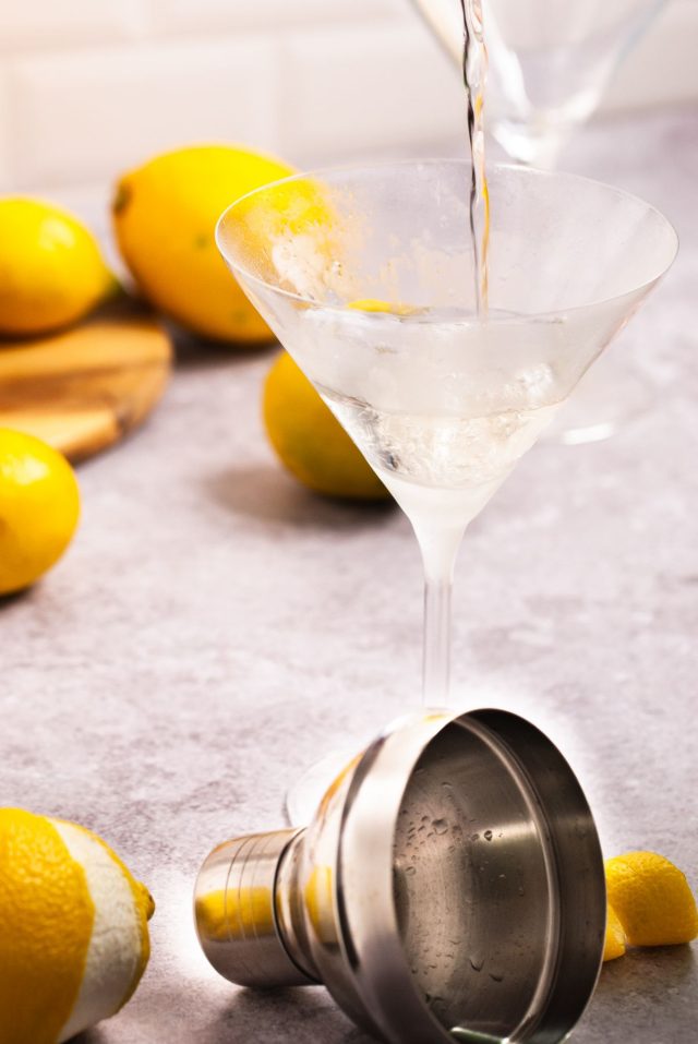 what is martini - a single serving of the martini cocktail