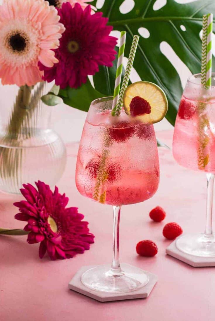 Easy Pink Gin Spritz Recipe — Sugar & Cloth