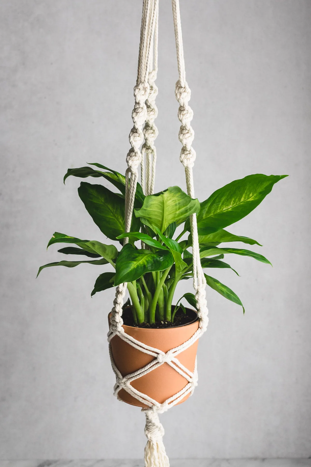 photo of a DIY Macrame Plant hanger as a mothers day homemade gift ideas