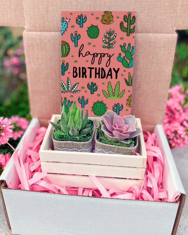 Birthday Succulent Gift Box for birthday gifts for her