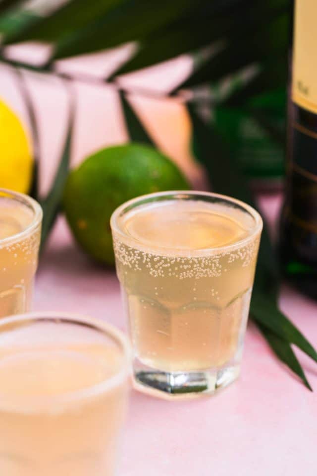 Green Tea Shot Recipe and How to Make Sweet and Sour Mix