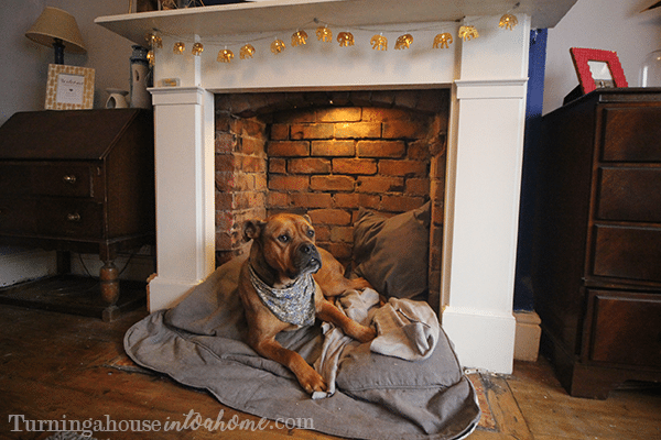 How to make a dog bed in a fireplace