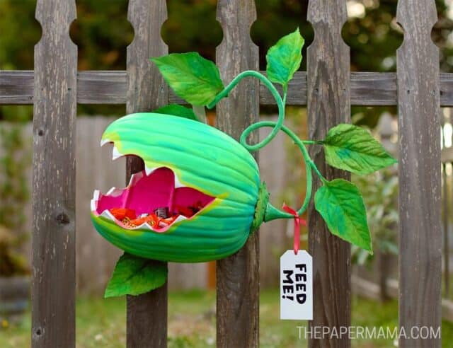 DIY Venus Flytrap Pumpkin Candy Holder for Best DIY Outdoor Halloween Decorations 